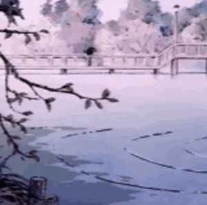 Meet your Posher, Aneli